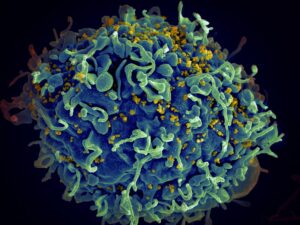 Coping with Chemotherapy